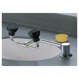 Bradley Plumbed In Eye and Face Wash Station - SF14278