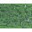 Hex Cap Screw Grade 5 Assortment - KL223