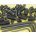 Knurled Point Socket Set Screw Assortment - LP868