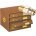 D.O.T. Push-to-Connect Parker Complete Brass Assortment - CT16281