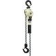 10'L 1.6Ton Lvr Hoist W/Ovrlod Protc