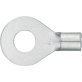 Ring Tongue Terminal 12 to 10 AWG