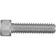 Socket Head Cap Screw 18-8 SS 1/4-20 x 2"